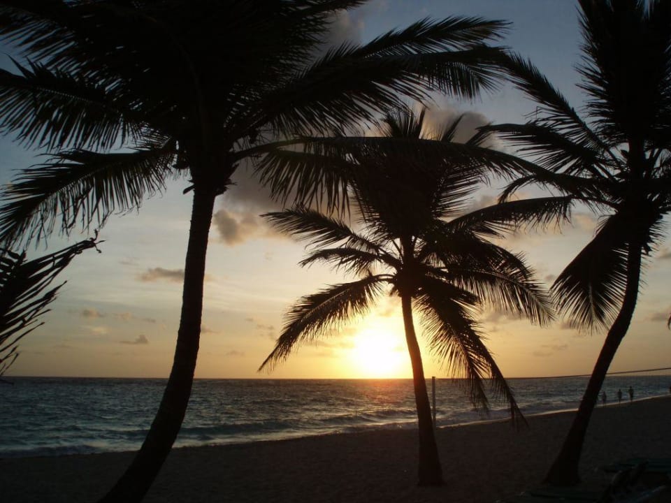 Sonnenaufgang Hotel Riu Palace Punta Cana