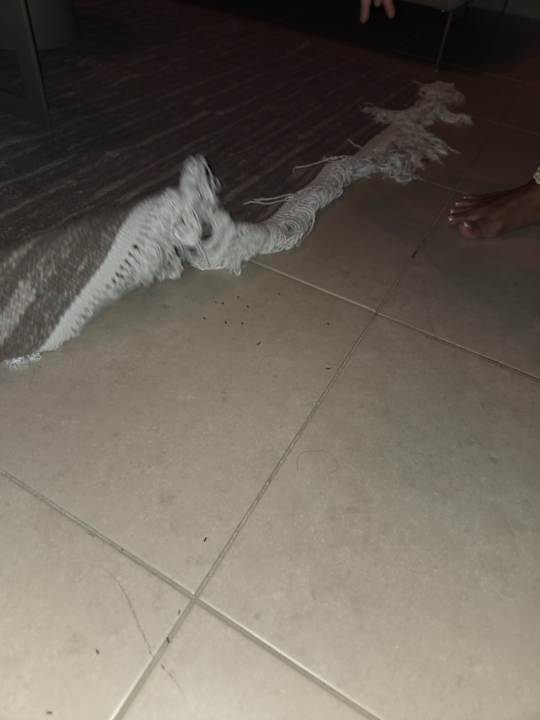 Zimmer Iberostar Waves Mehari Djerba