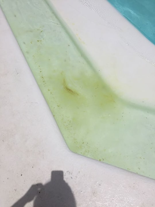 Sonstiges Relaxia Olivina