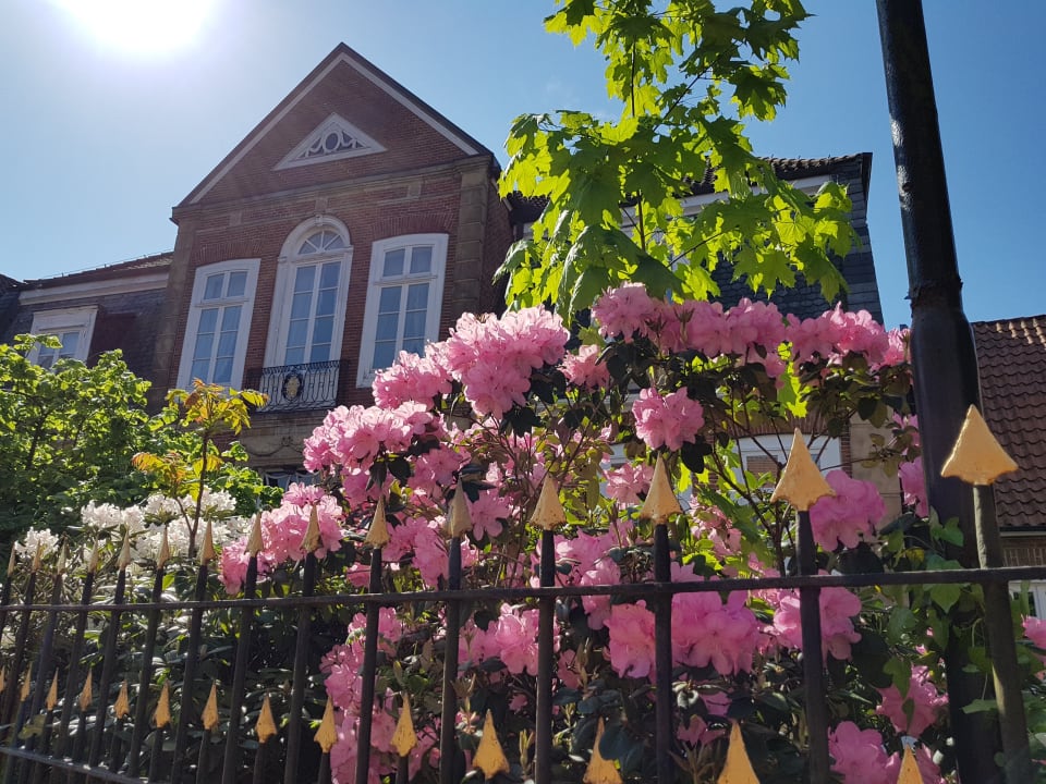 Haus Russel Burghotel Haselünne