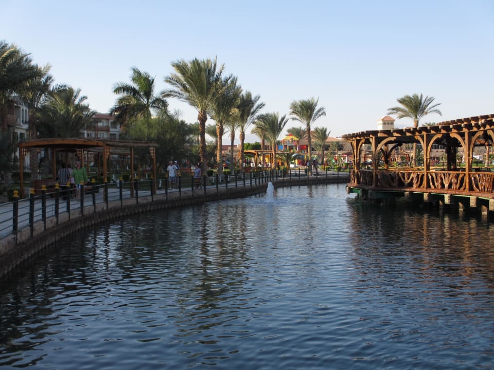 Lagune mit viele Fische Pickalbatros Dana Beach Resort - Hurghada