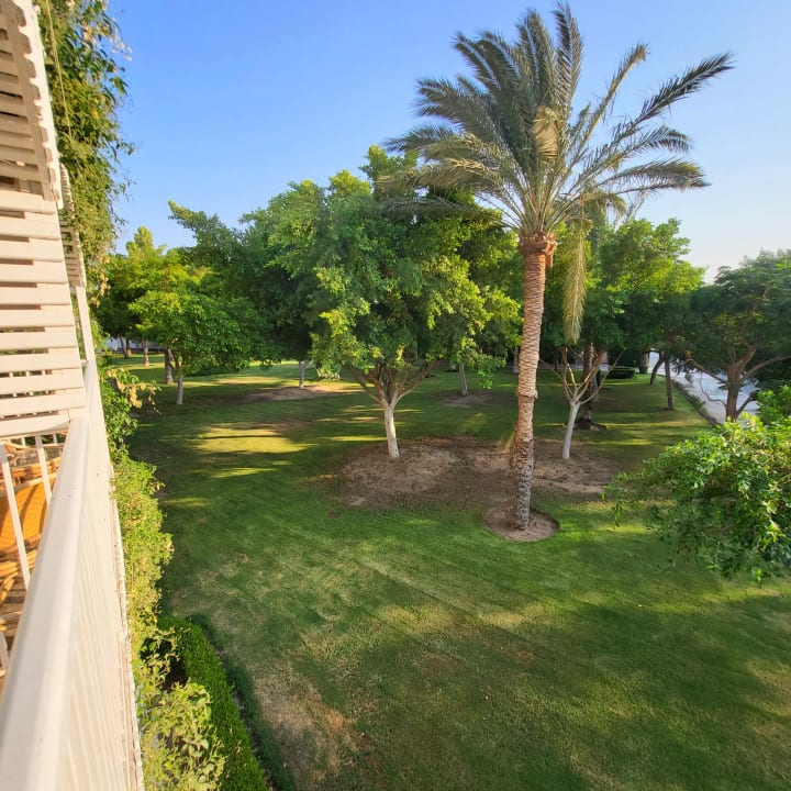 Gartenanlage Desert Rose