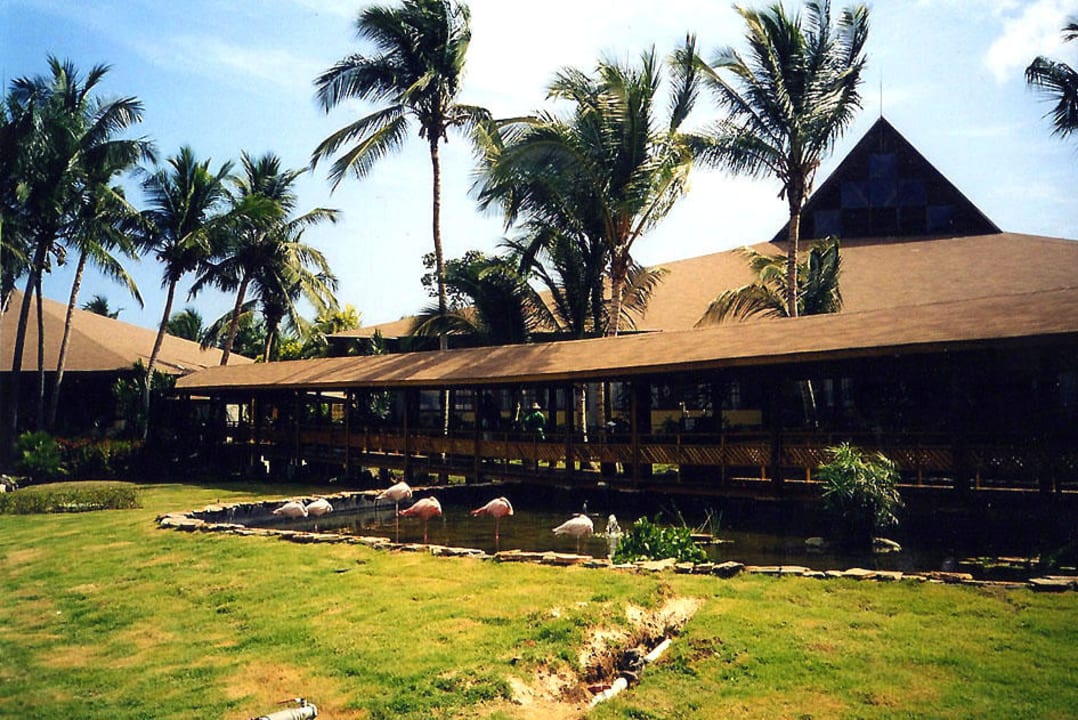 Teich, Flamingo Grand Palladium Select Bávaro Resort & Spa