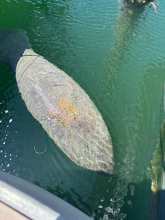 Ausblick Yacht Haven