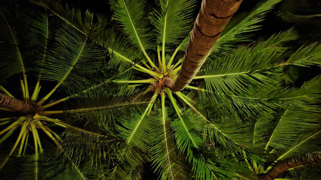 Gartenanlage Vilamendhoo Island Resort & Spa