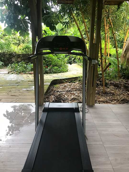 Sport & Freizeit Poivre et Citronnelle