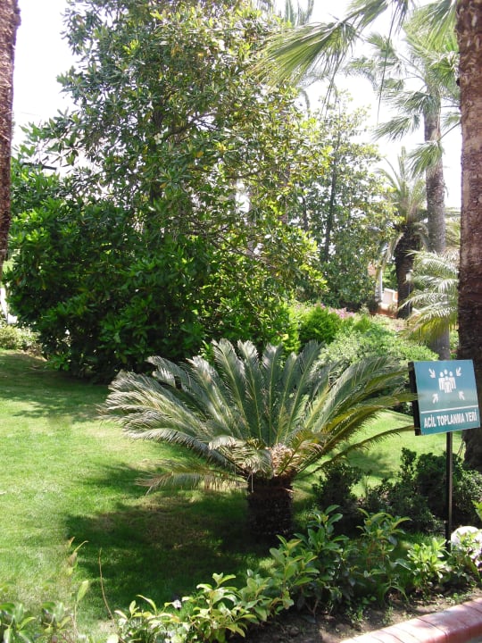 Gartenanlage Side Star Elegance