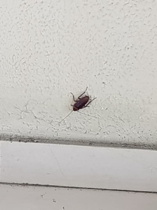 Sonstiges Le Meridien Ile Maurice