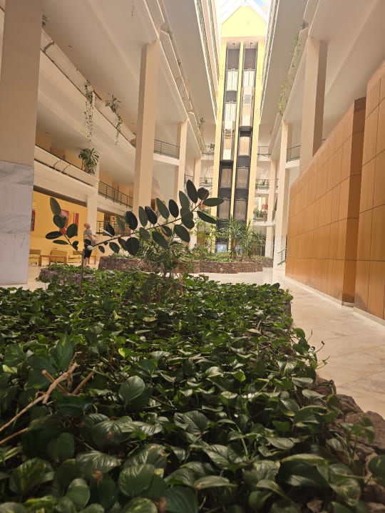 Lobby SBH Costa Calma Beach Resort