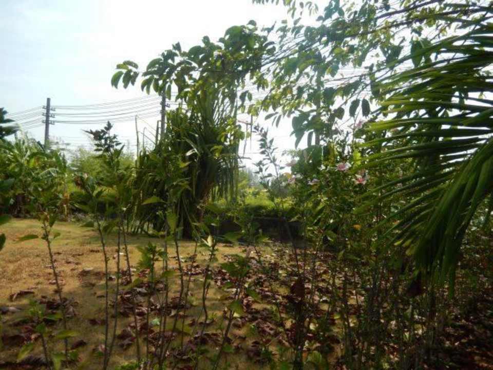 Gartenanlage oberer Bereich Seaview Khao Lak Resort