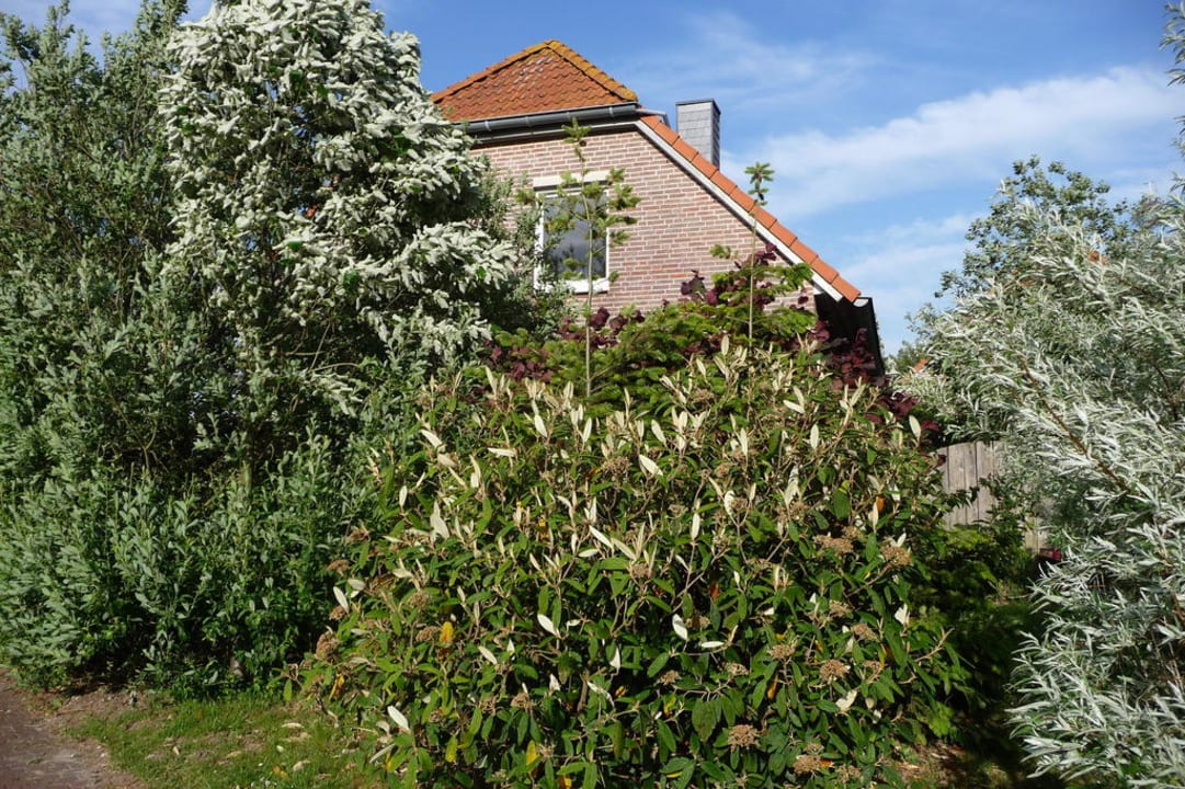 Blick von der Straße Center Parcs Park Nordseeküste