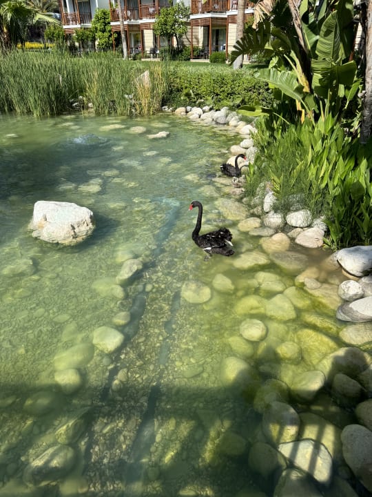 Gartenanlage Rixos Premium Tekirova