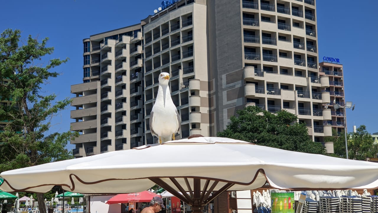 Außenansicht Sentido Bellevue Beach