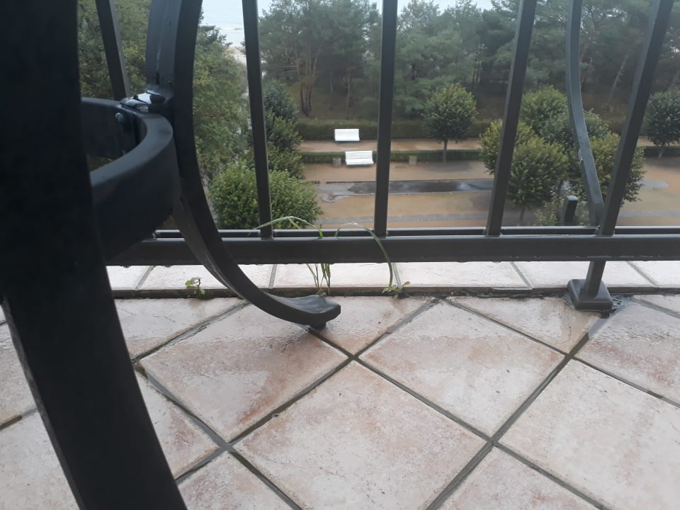 Sonstiges Usedom Palace Hotel