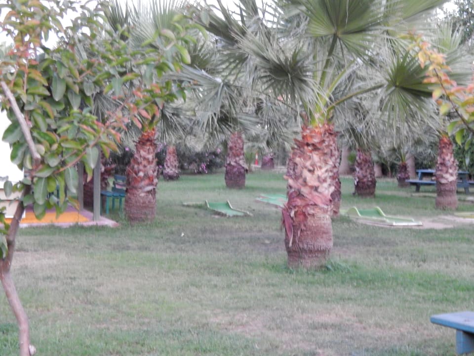 Gartenanlage Hane Family Resort
