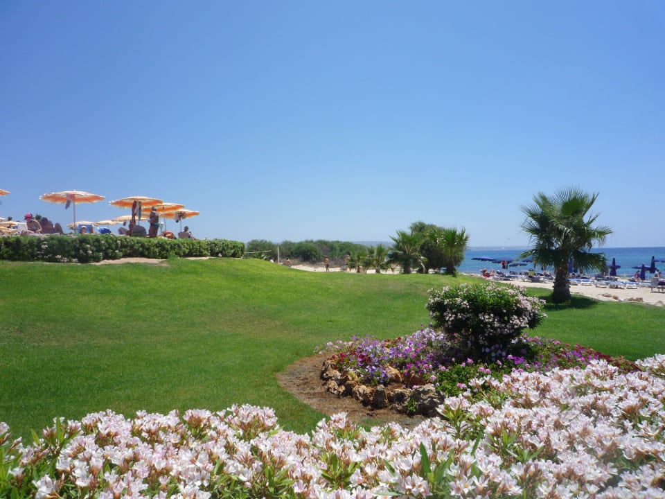 Gartenanlage Asterias Beach