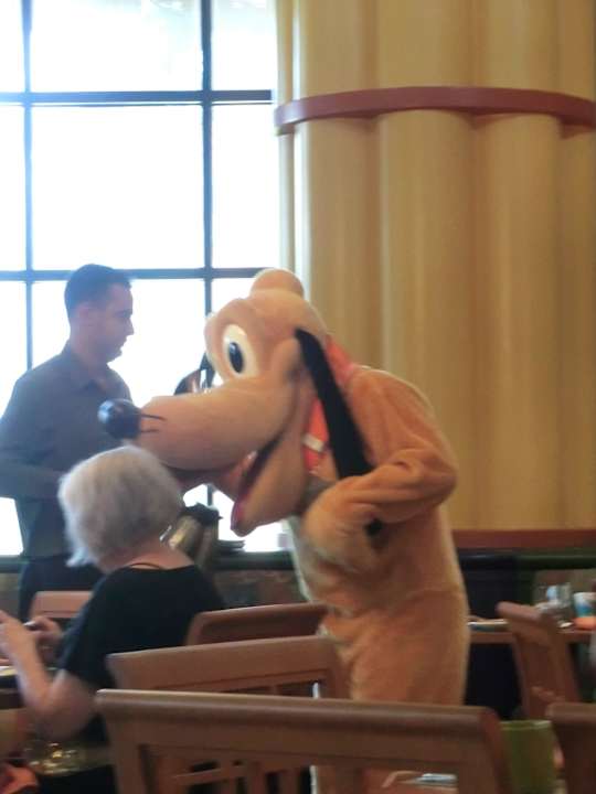 Swan Hotel Frühstück Walt Disney World Swan & Dolphin Resort