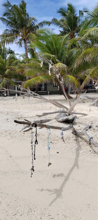 Ausblick Kuredu Island Resort & Spa