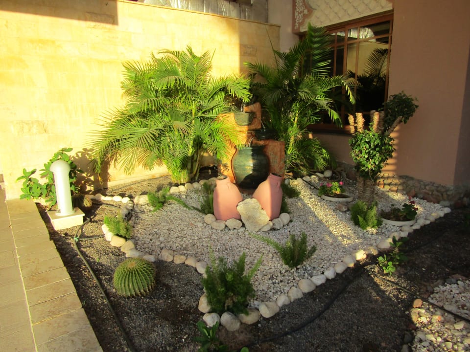 Gartenanlage Pickalbatros Palace Resort