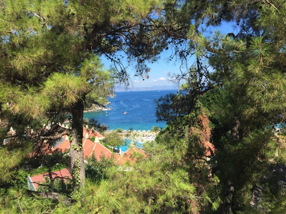 Gartenanlage Hillside Beach Club