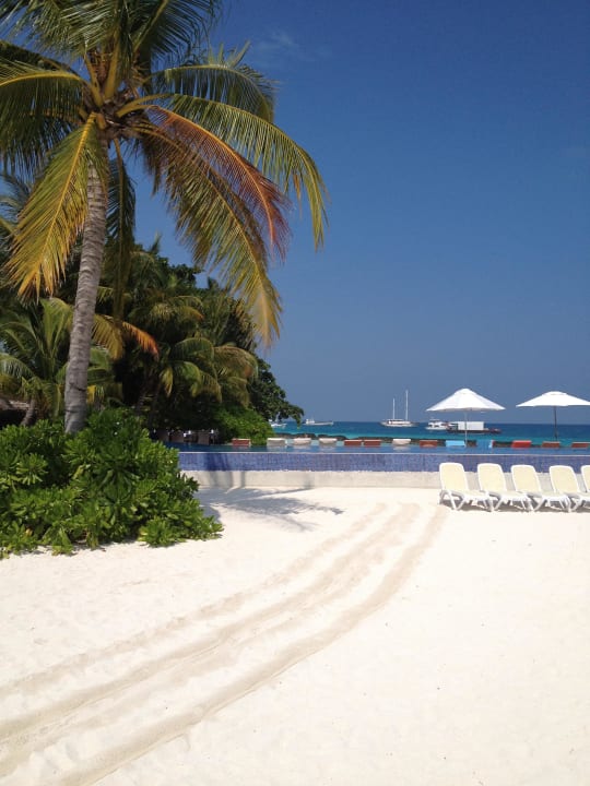 Strandabschnitt Infinitypool Kuramathi Maldives