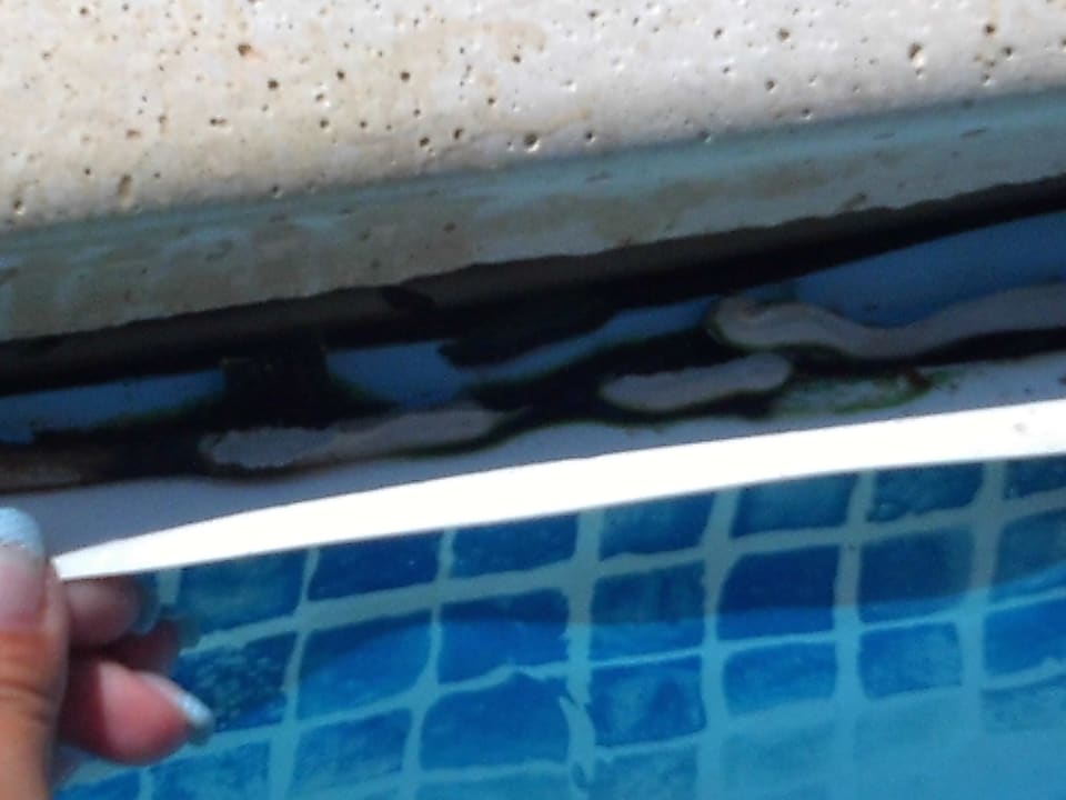 Poolfolie löst sich - Schimmel dringt ins Wasser Hotel Titanic Palace