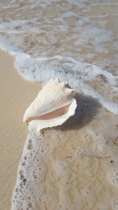 Strand Grand Palladium Punta Cana Resort & Spa