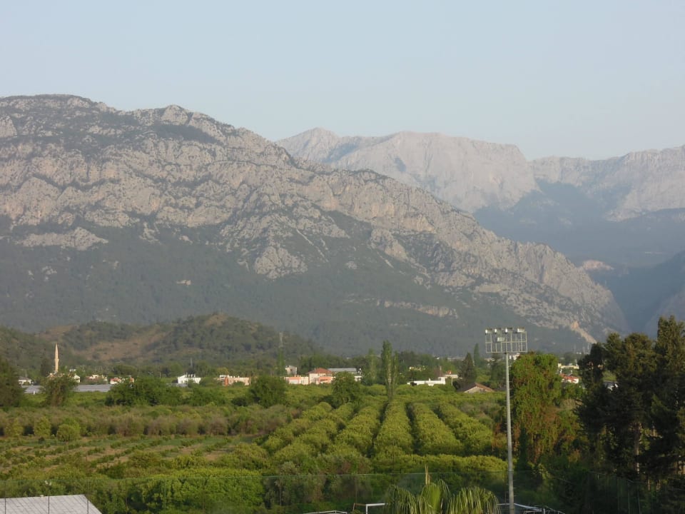 Zimmeraussicht  Viking Park