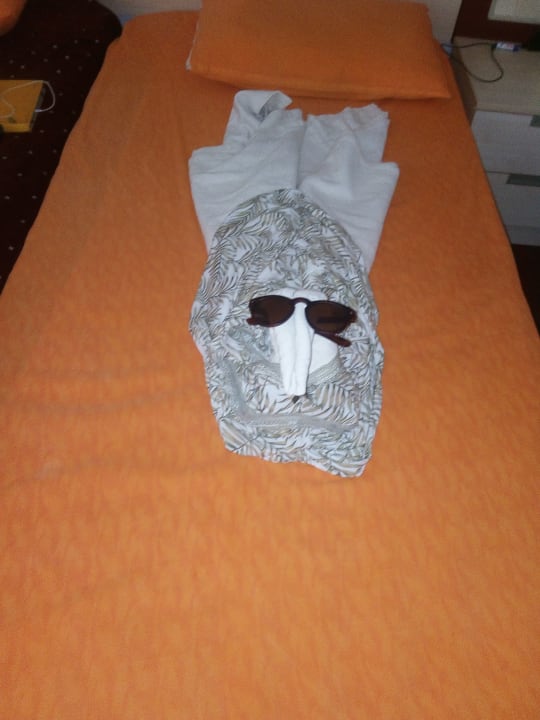 Zimmer Carna Garden Hotel