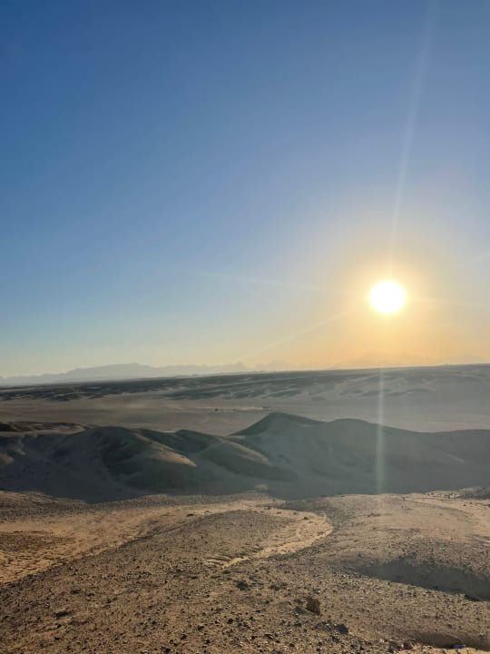 Ausblick Desert Rose