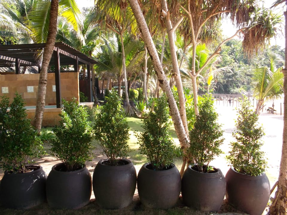 Garten Abtrennung Andaman White Beach Resort
