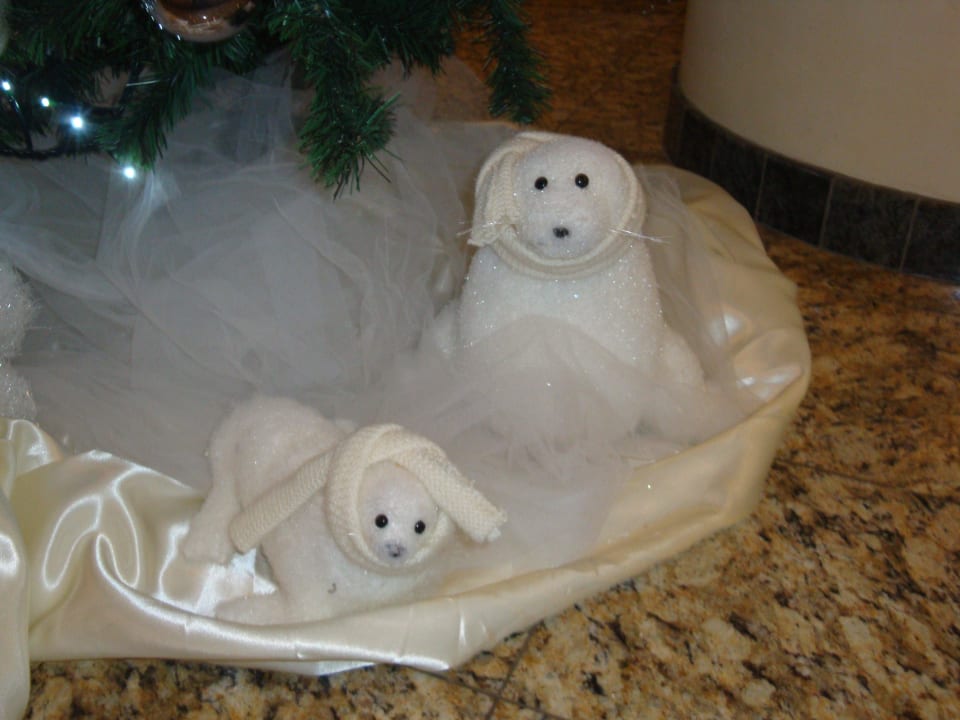 Seehunde Savoy Beach Hotel & Thermal Spa