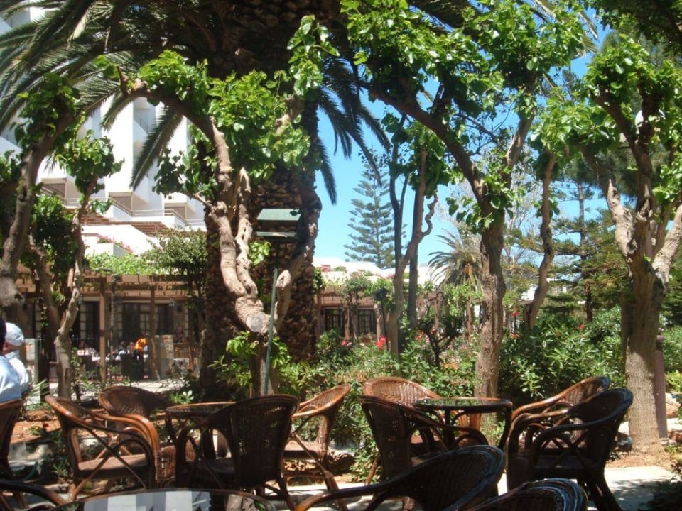 Aussenterrasse Mainbar Apollonia Beach Resort & Spa
