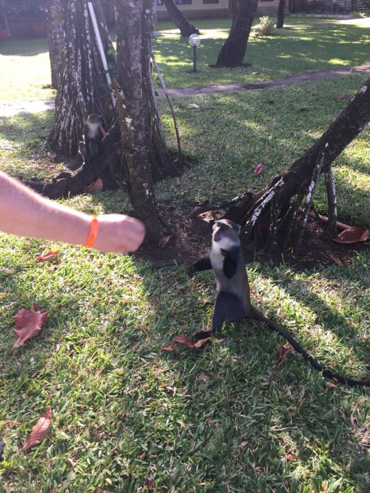 Gartenanlage Neptune Village Beach Resort & Spa