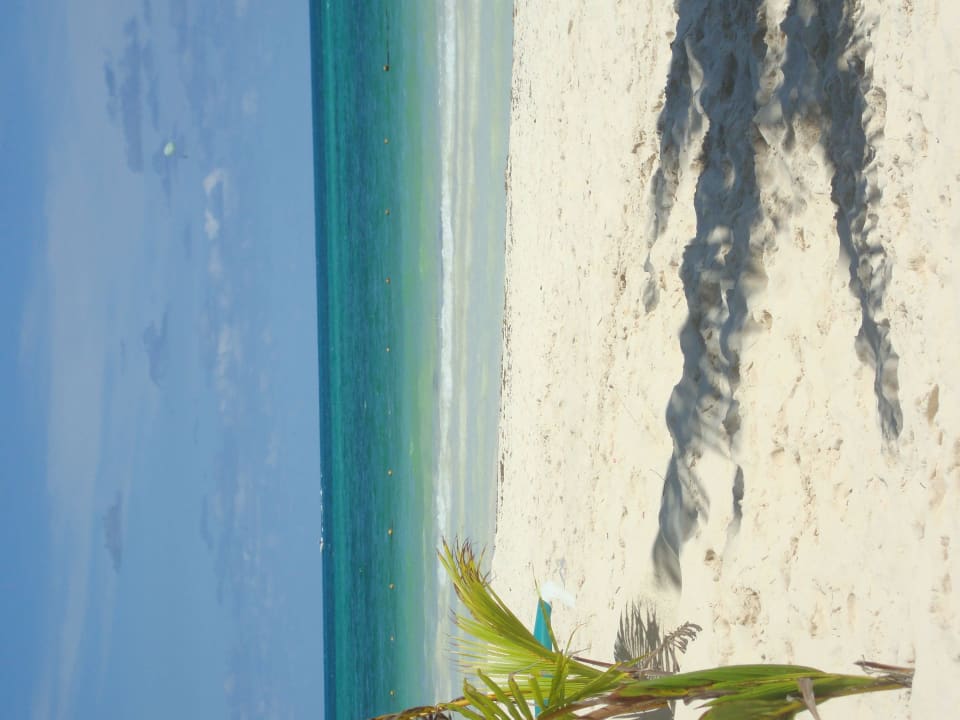 Hotel Catalonia Playa Maroma Catalonia Playa Maroma