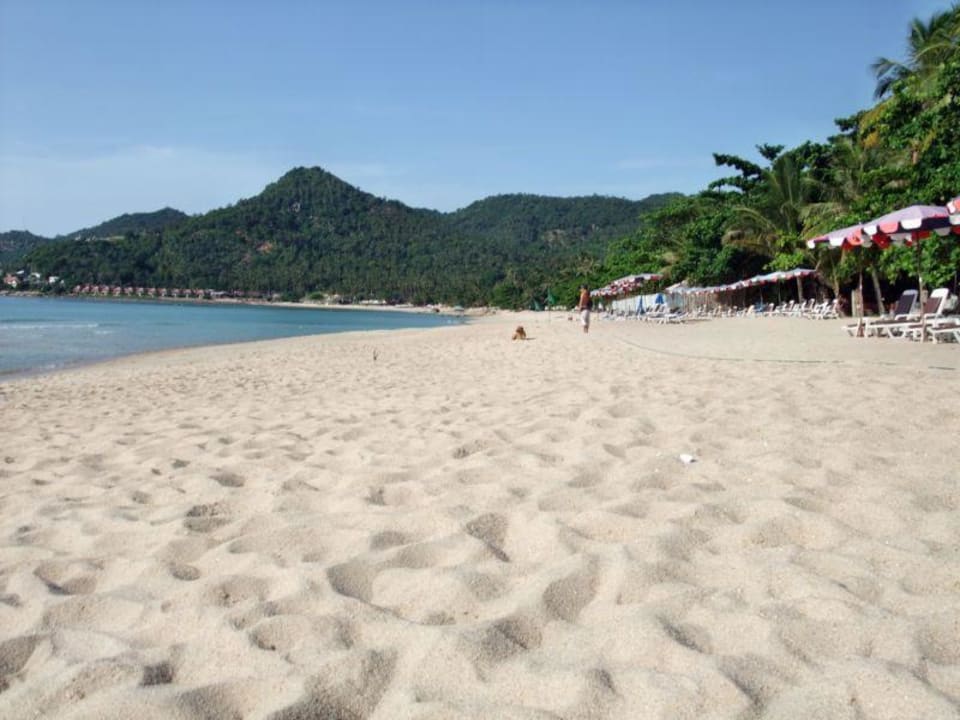 Chaweng Noi Beach The Fair House Beach Resort