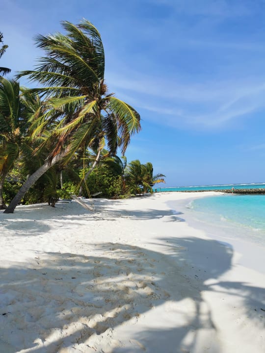 Strand Summer Island Maldives