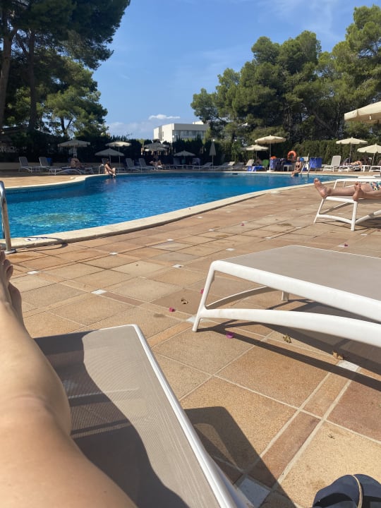 Pool Grupotel Orient