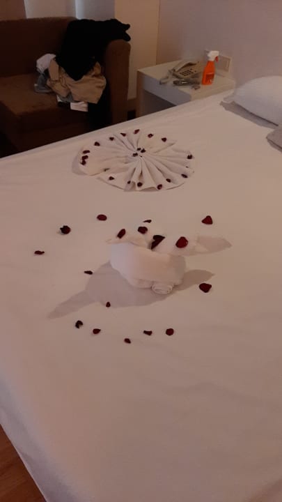 Zimmer Seaden Sea World Resort & Spa