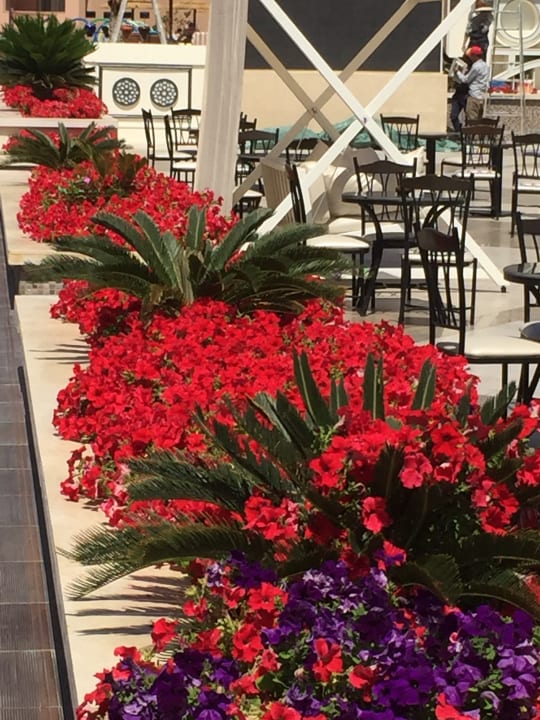 Gartenanlage Pickalbatros Aqua Park Resort - Hurghada