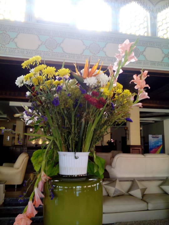 И даже гладиолусы. Pickalbatros Aqua Park Resort - Hurghada