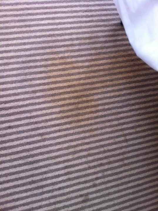 Teppichbeschmutzung acom Hotel München