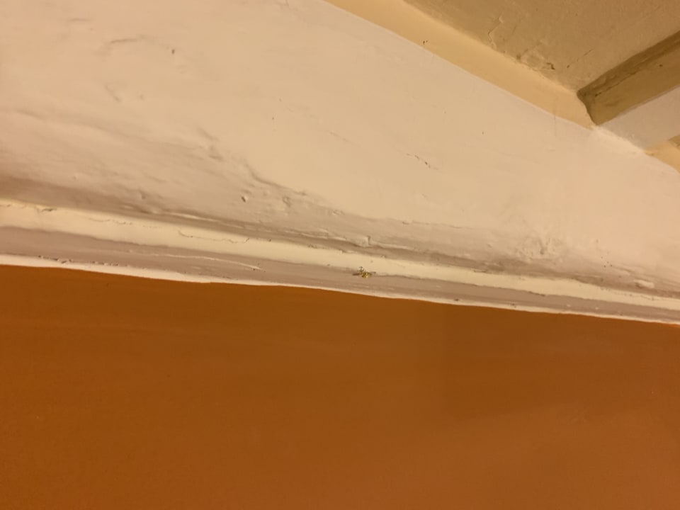 Zimmer Hotel Pantheon Inn