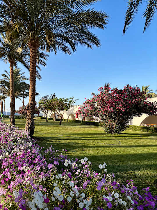 Außenansicht Desert Rose