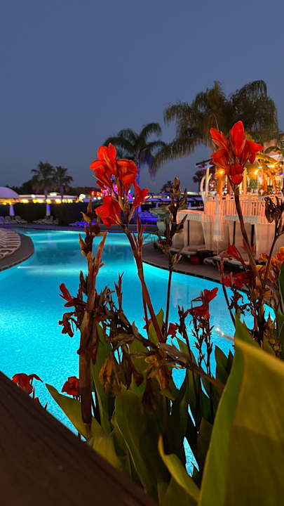 Pool Adalya Elite Lara