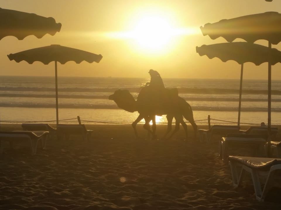 Sport & Freizeit Caribbean Village Agador  (Agador Tamlelt)