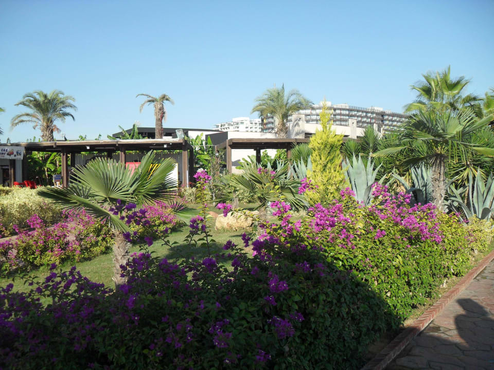 Wunderschöner Garten Hotel Miracle Resort