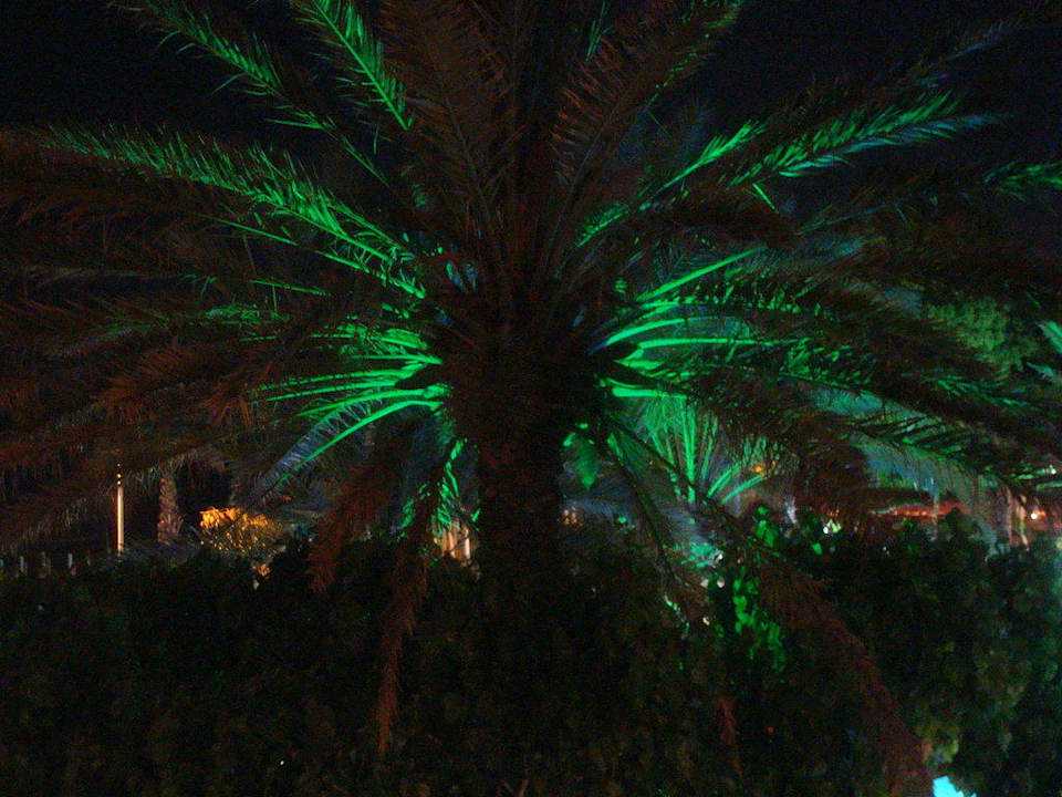 Ausblick von der Strandbar Horus Paradise Luxury Resort & Club