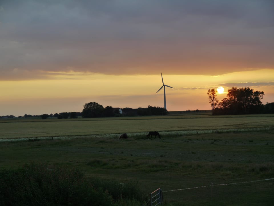 Blick von Gästeterrasse gen Westen Pension Engelmann