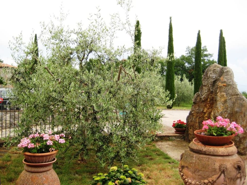 Im Bereich der Zufahrt Hotel Casolare le Terre Rosse
